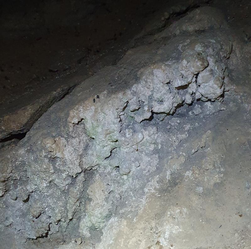 2022-08-21 13.00.32a