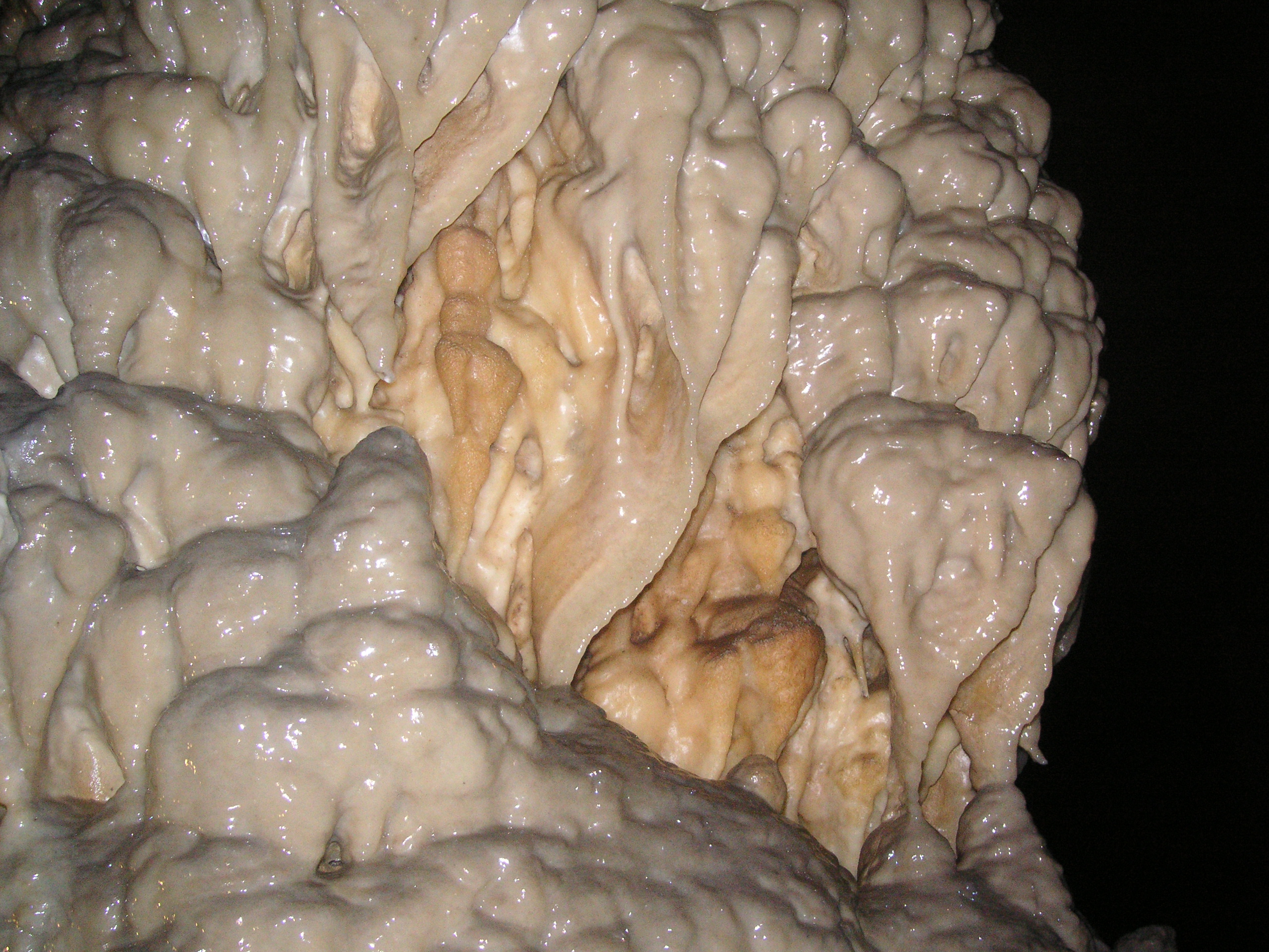 2010-06-04_112544.jpg