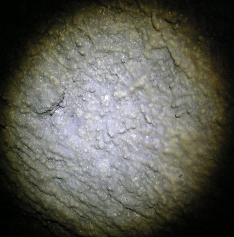 2011-09-16_140820a.jpg