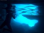 2018-08-11 Blaue Grotte (Cres, Kroatien)