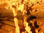 2012-02-12 Al Hoota Cave (Oman)