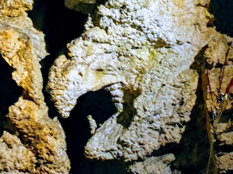 2019-06-01 15.45.45-EFFECTS